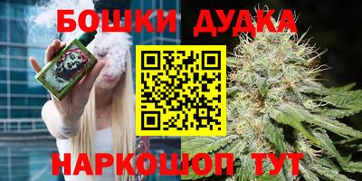 мдпв Рыбинск