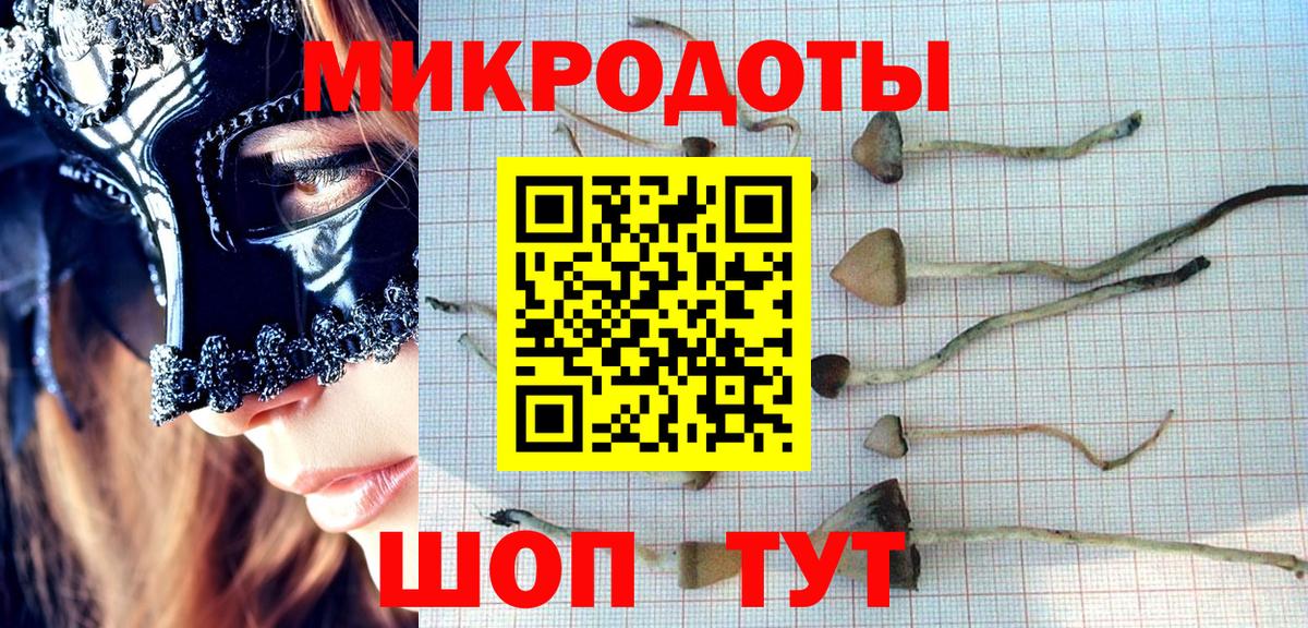 Галлюциногенные грибы мицелий Трёхгорный