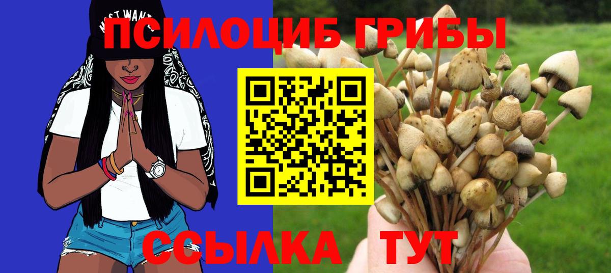 Трёхгорный  Галлюциногенные грибы Cubensis  Вход с VPN 